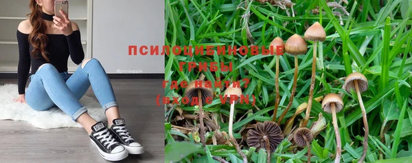 каннабис Лабытнанги