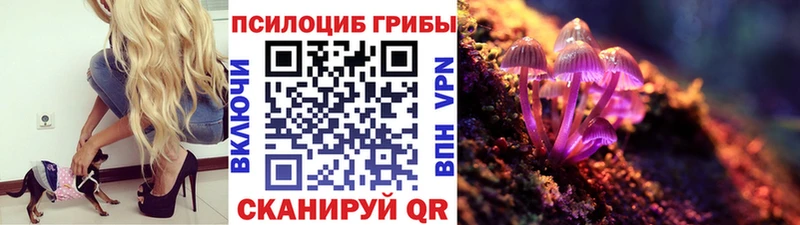 Псилоцибиновые грибы мицелий  даркнет сайт  мориарти Telegram  Вытегра 